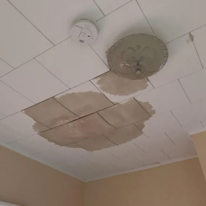 Ceiling Water Damage Repair in London, OH