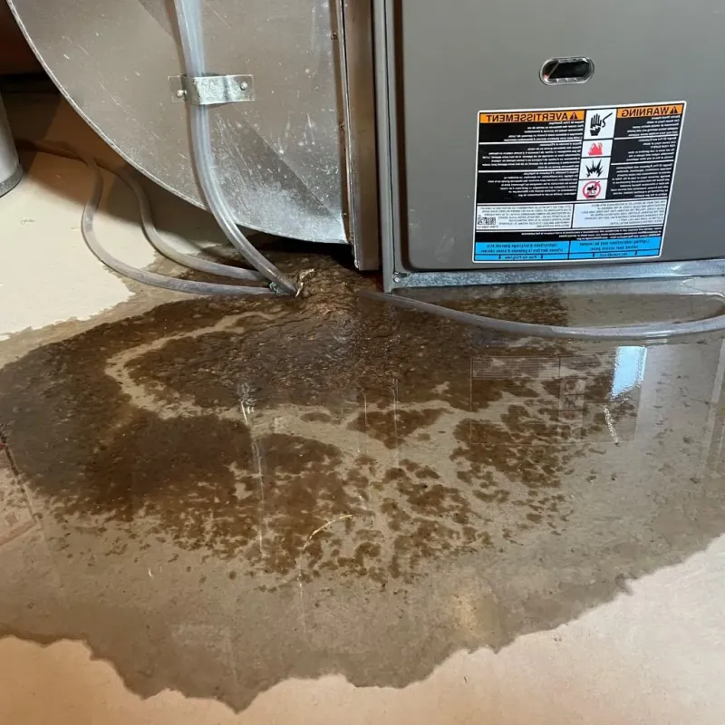 Pipe Burst and Leak Restoration in London, OH