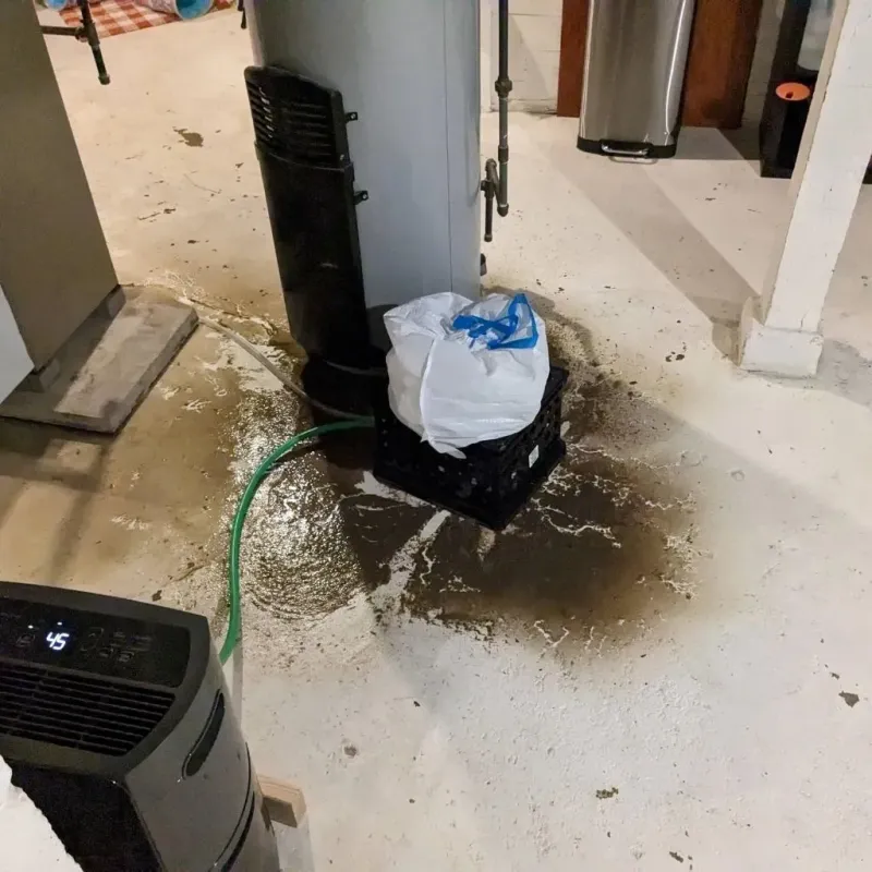 Sewage Backup Cleanup Service in London, OH